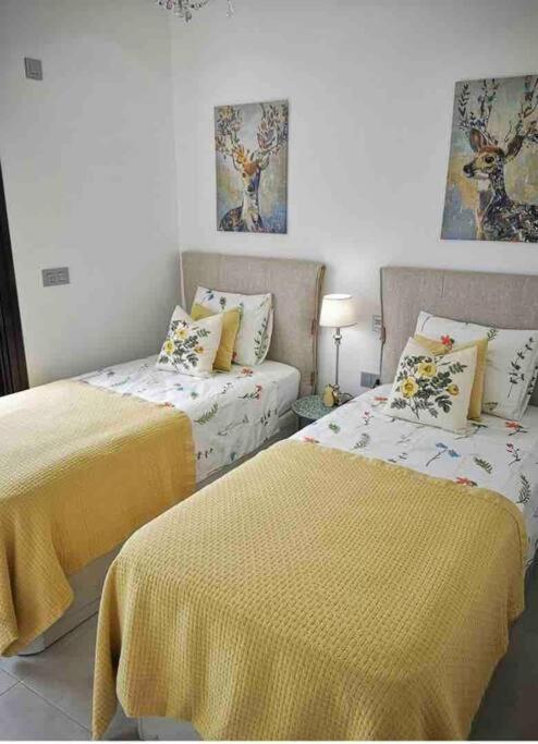 Bahia Homes تورّيفيِخا المظهر الخارجي الصورة
